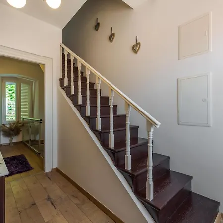 リザ * ツァヴタット