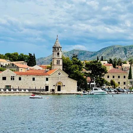 リザ * ツァヴタット